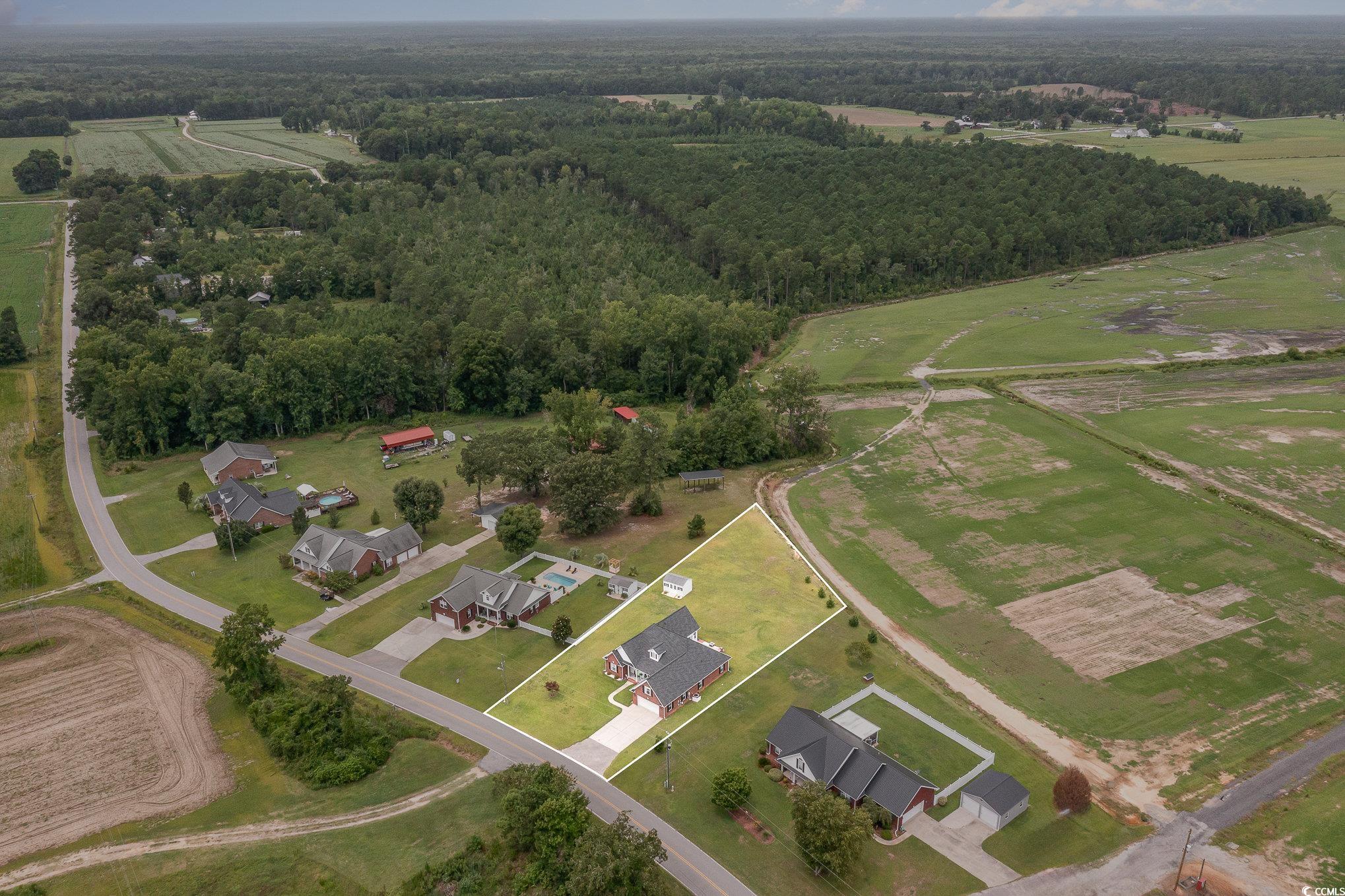 1168 Floyd Page Road Galivants Ferry, SC 29544 - Photo 35 of 37 View of yard featuring a rural view and an outdoor