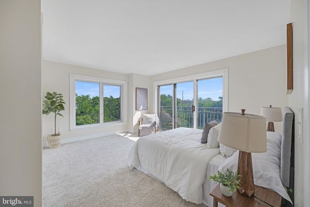 a view of backyard with a patio and plants