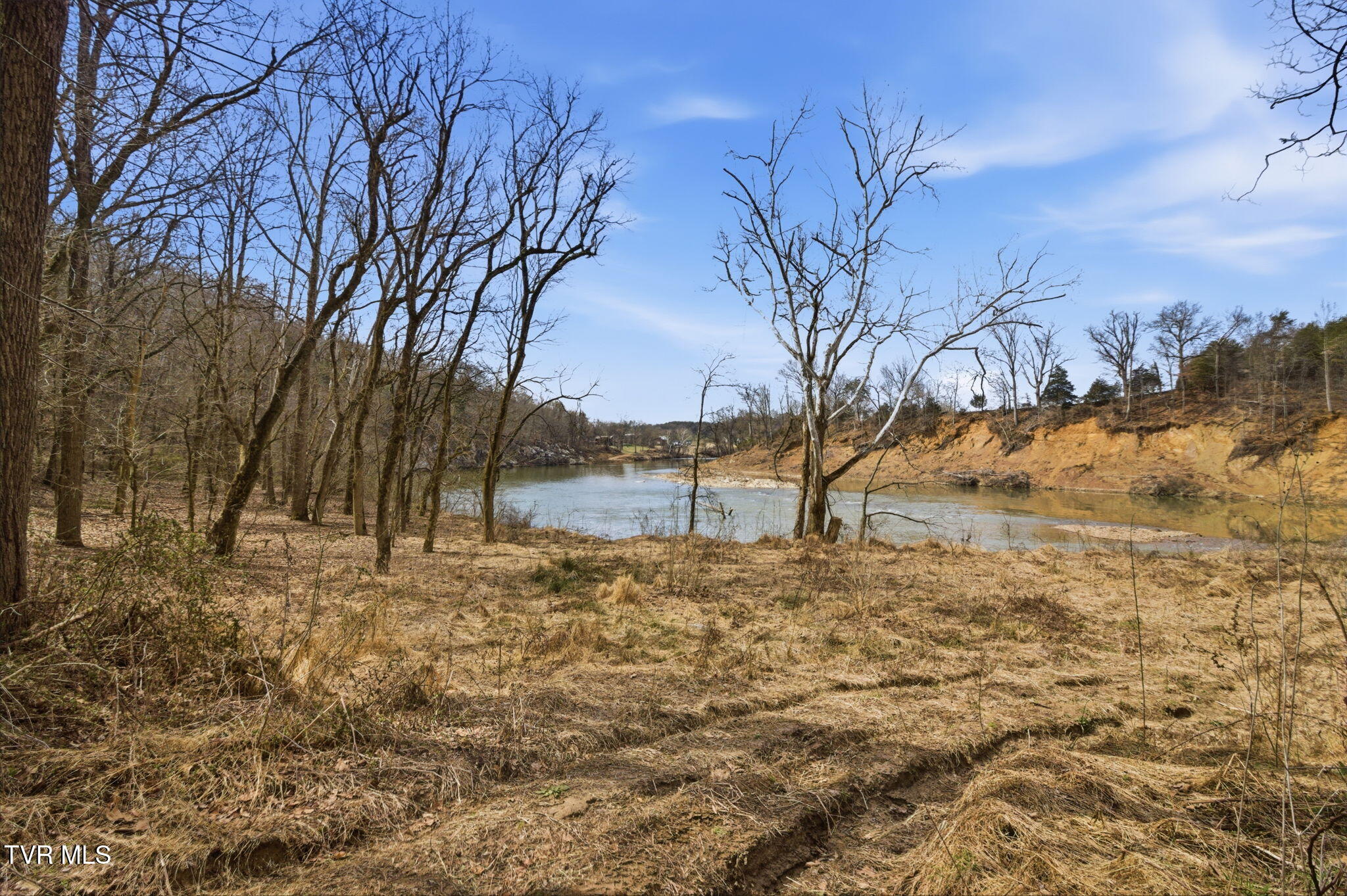 411 St James Road Greeneville, TN 37743 - Photo 39 of 59 6-web-or-mls-DZ3A8765