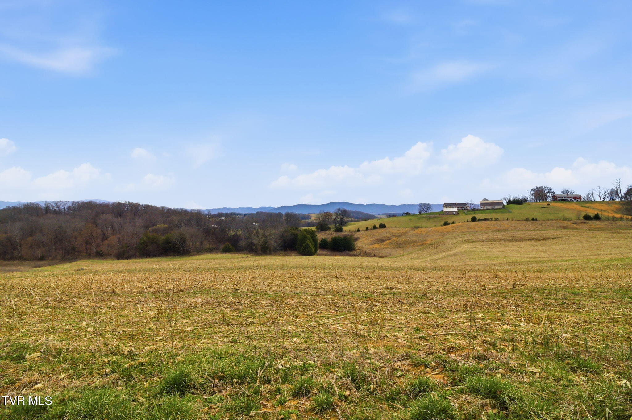 411 St James Road Greeneville, TN 37743 - Photo 40 of 59 7-web-or-mls-DZ3A8756