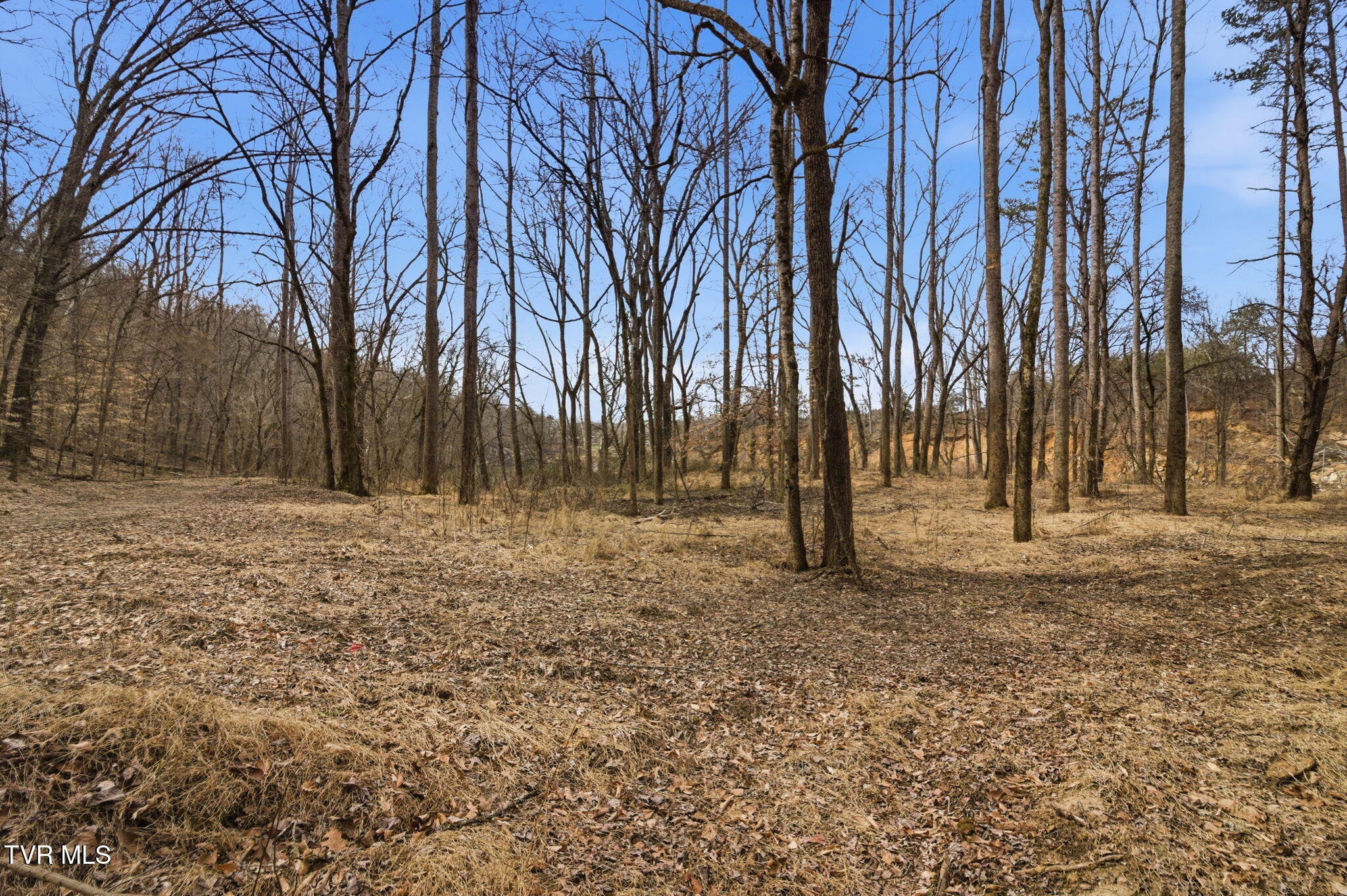 411 St James Road Greeneville, TN 37743 - Photo 42 of 59 22-web-or-mls-DZ3A8759