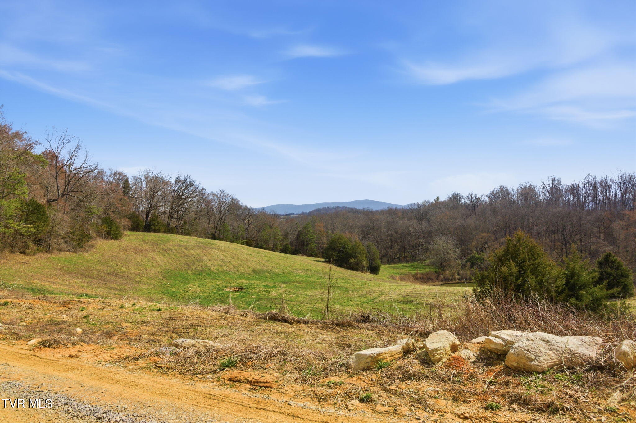 411 St James Road Greeneville, TN 37743 - Photo 44 of 59 27-web-or-mls-DZ3A8699