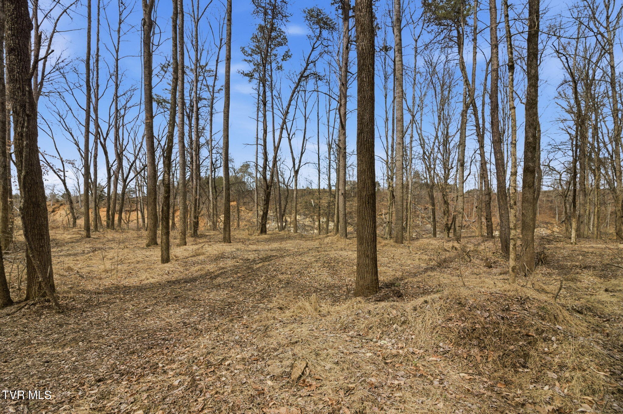 411 St James Road Greeneville, TN 37743 - Photo 45 of 59 39-web-or-mls-DZ3A8762