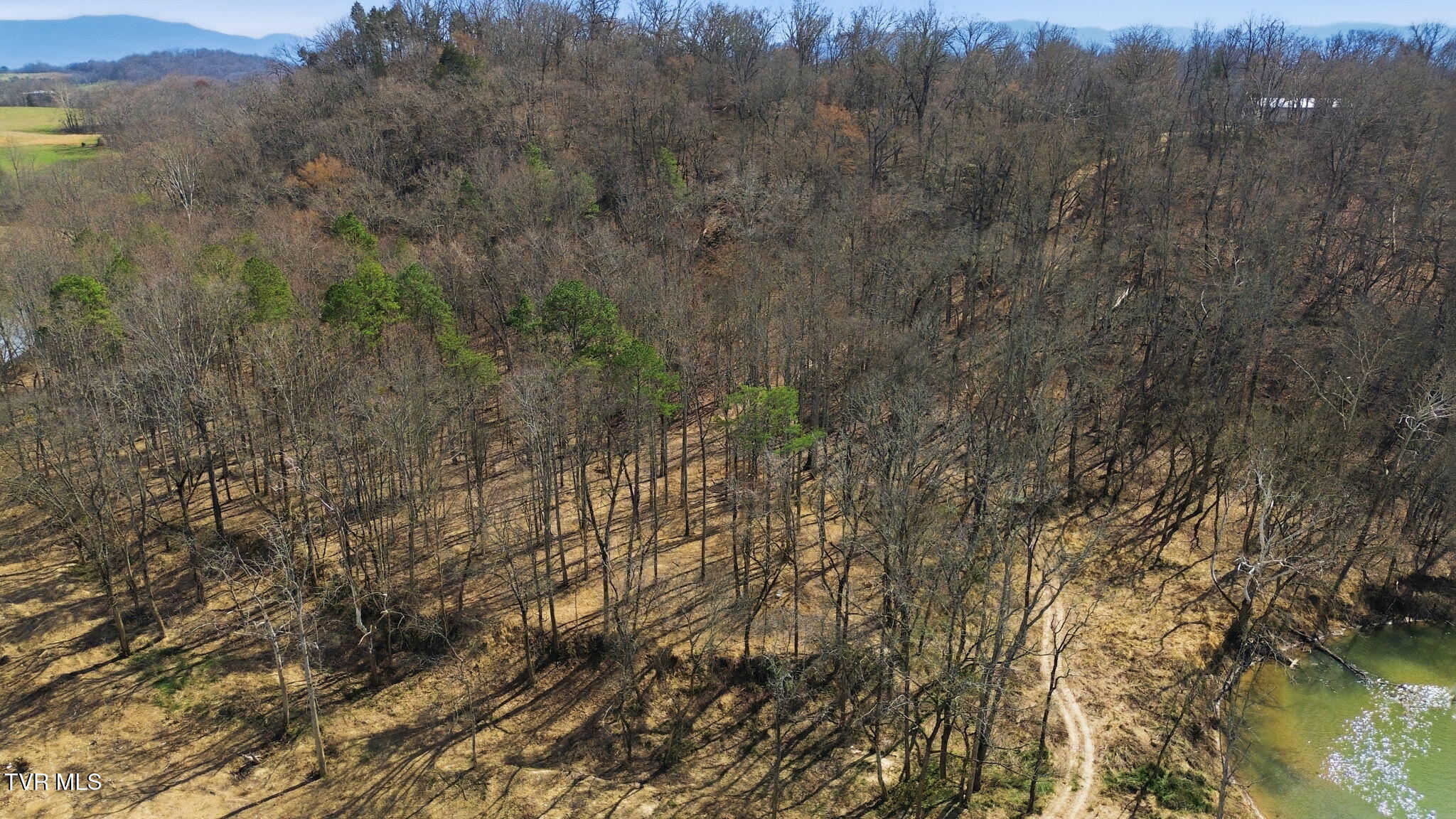411 St James Road Greeneville, TN 37743 - Photo 55 of 59 58-web-or-mls-DJI_0836