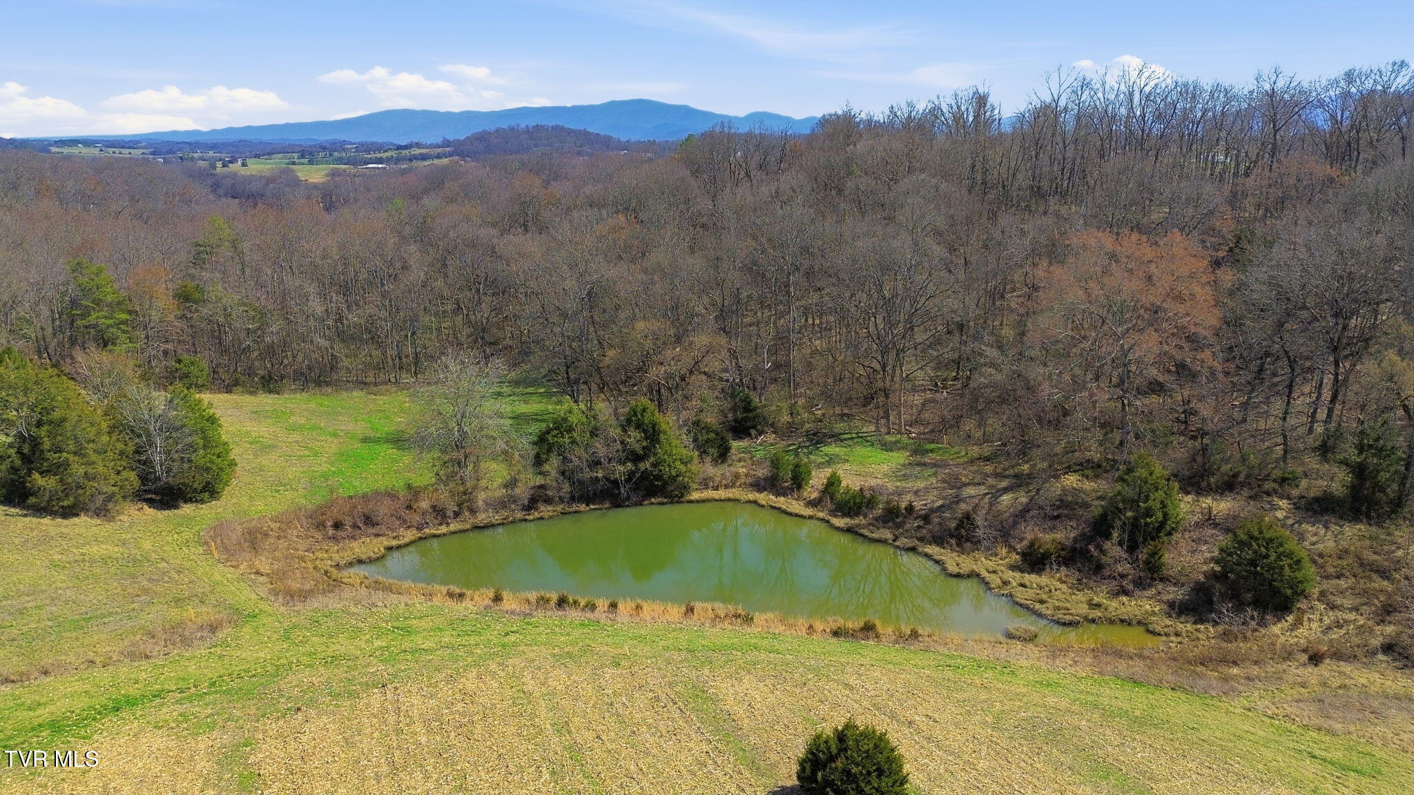 411 St James Road Greeneville, TN 37743 - Photo 57 of 59 60-web-or-mls-DJI_0843