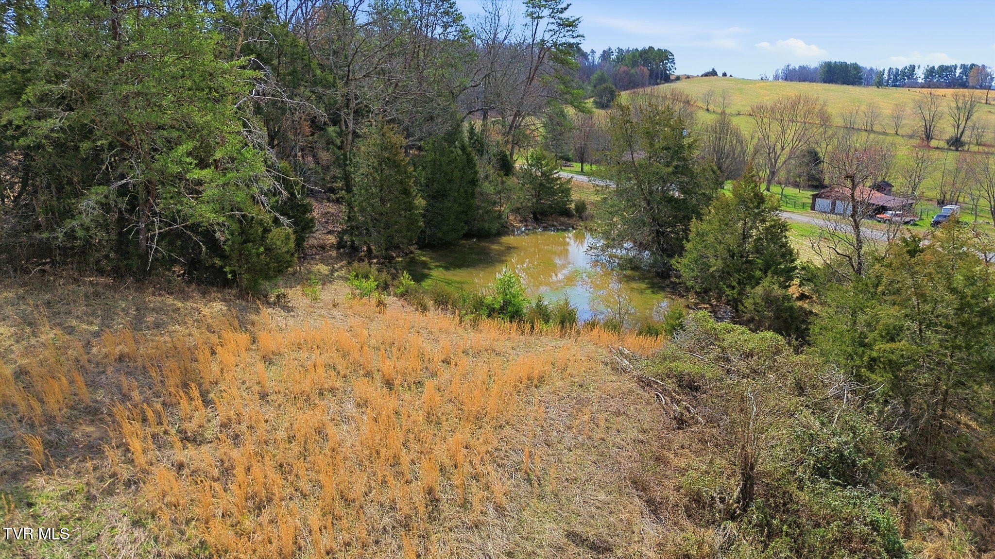 411 St James Road Greeneville, TN 37743 - Photo 59 of 59 62-web-or-mls-DJI_0871