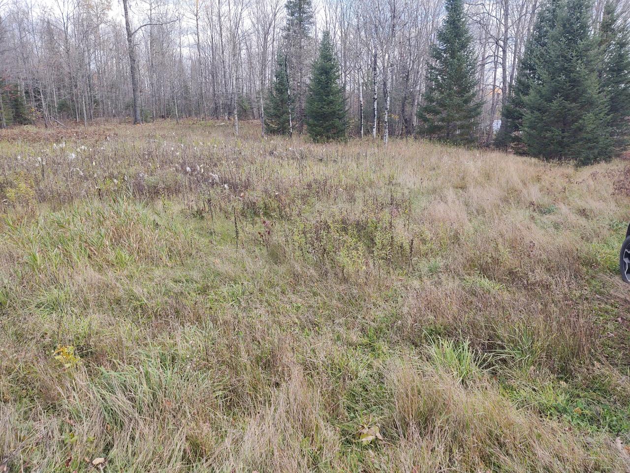 Lot 4 North River Road Park Falls, WI 54552 - Photo 25 of 37 Gallery Image 25