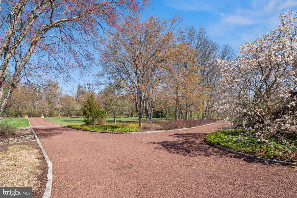 622 Rosedale Road Princeton, NJ 08540 - Photo 5 of 5 a view of road view with large trees
