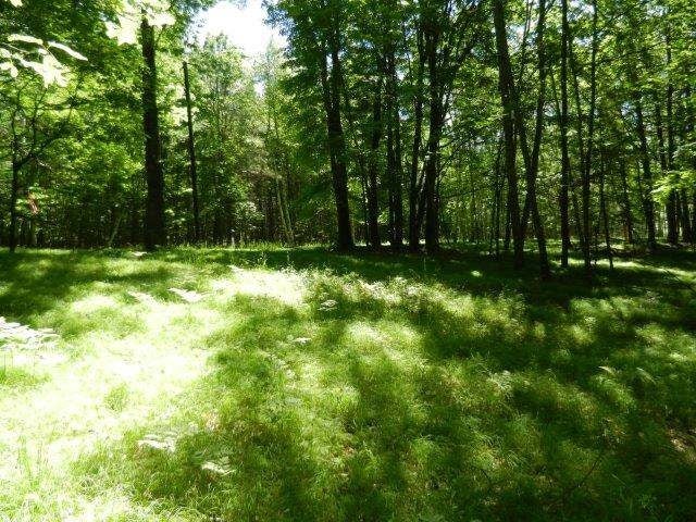 Lot 11 Cedar Falls Road Hazelhurst, WI 54531 - Photo 3 of 4 Gallery Image 3