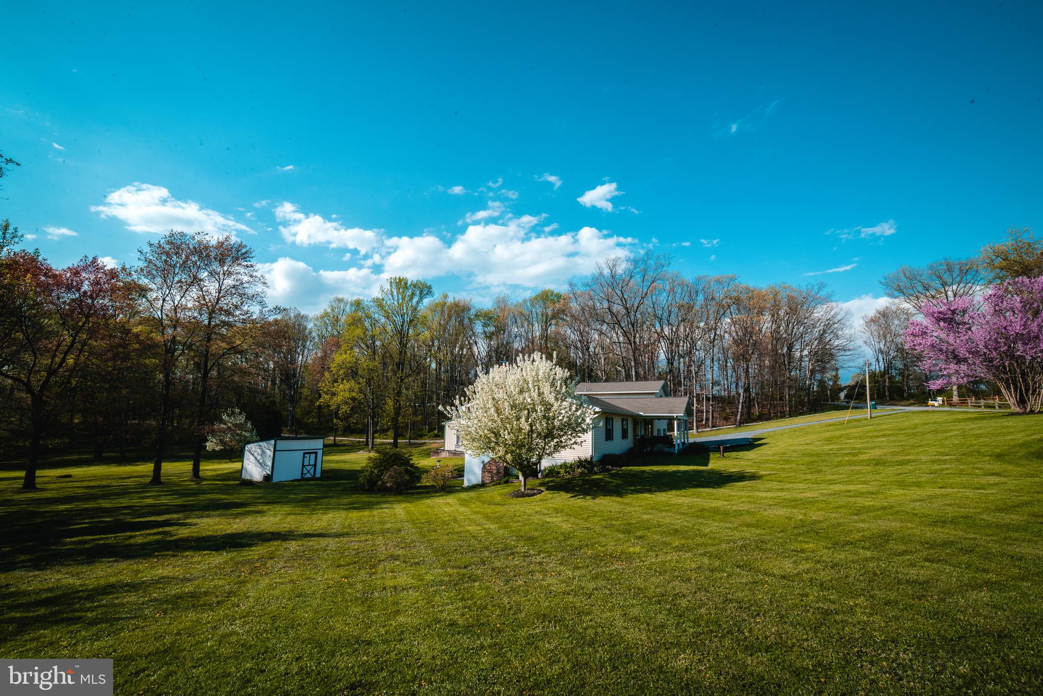 6345 Davis Road Mount Airy, MD 21771 - Photo 5 of 76 side and back yard views