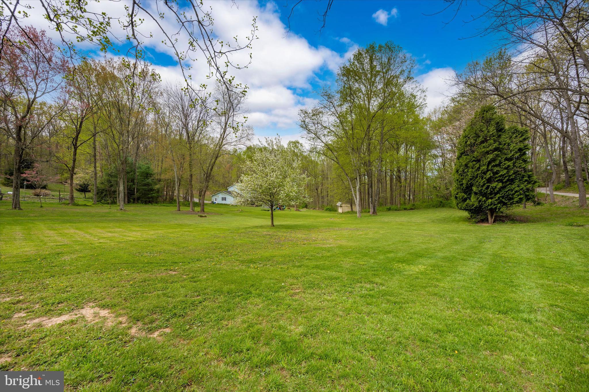 6345 Davis Road Mount Airy, MD 21771 - Photo 62 of 76 tons green grass in backyard