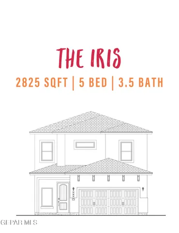 a black and white photo of a park