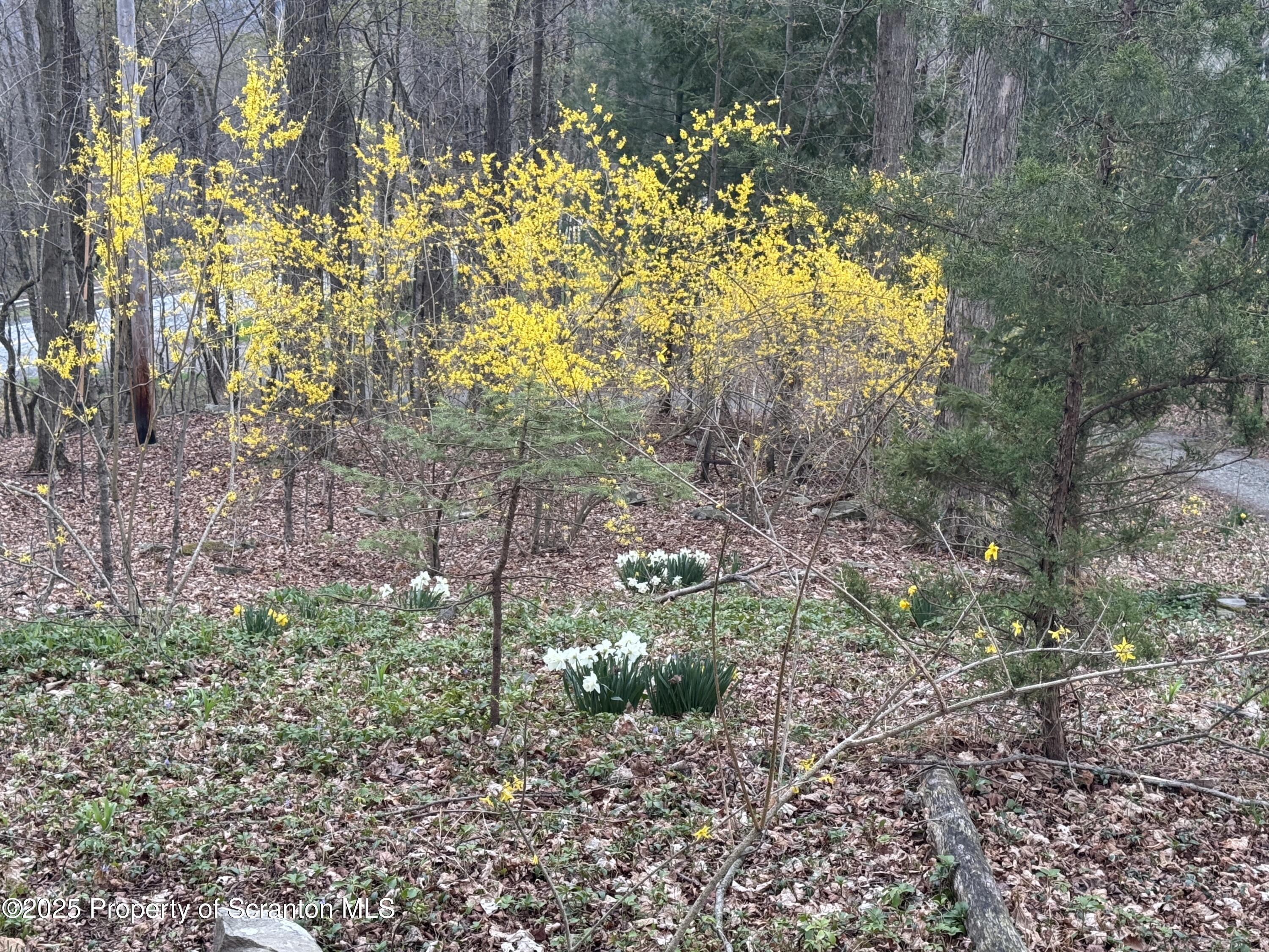 18285 Pa-92 Jackson, PA 18825 - Photo 16 of 49 a view of garden