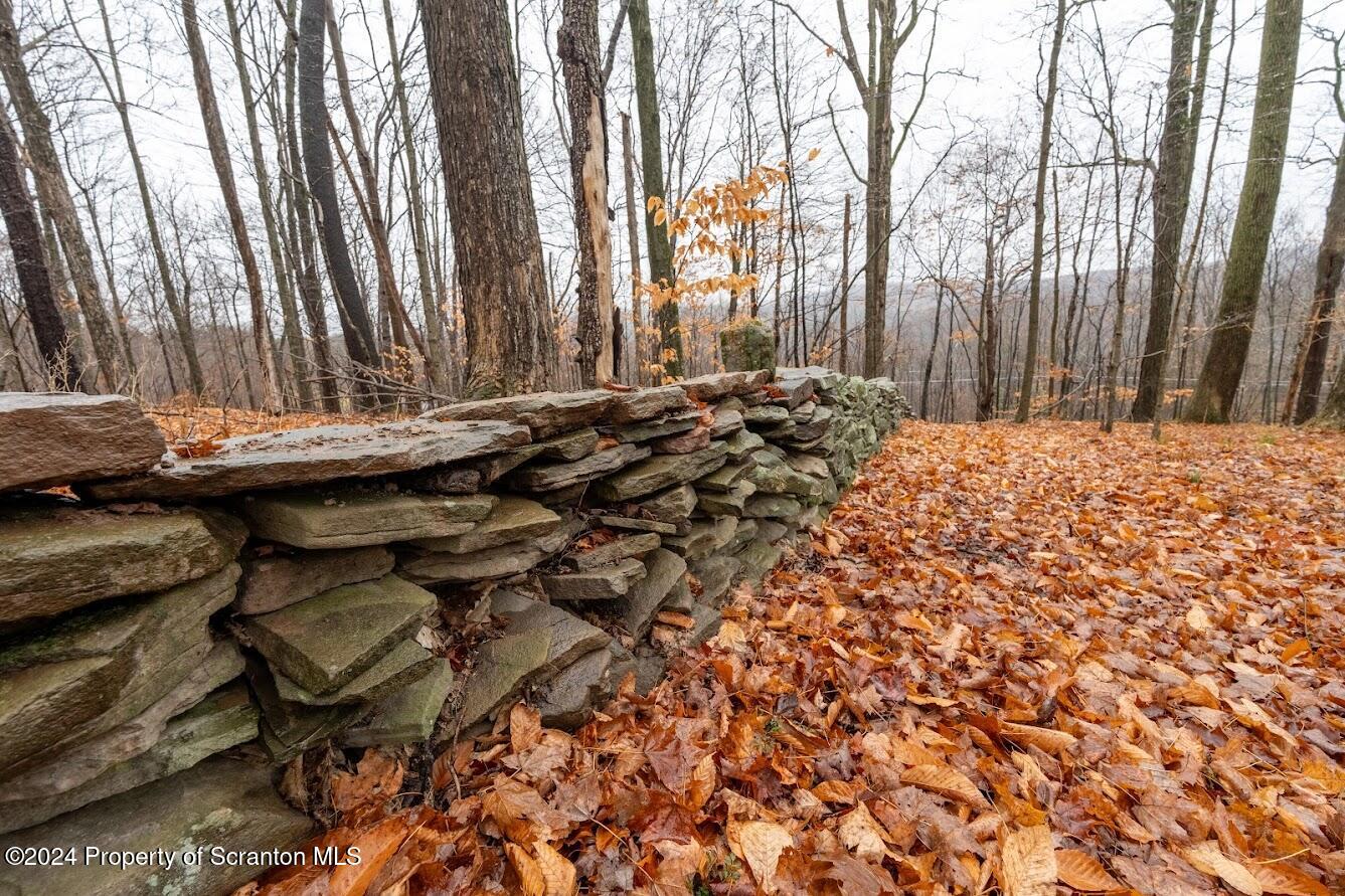 18285 Pa-92 Jackson, PA 18825 - Photo 36 of 49 a backyard of a house with barbeque oven table and chairs