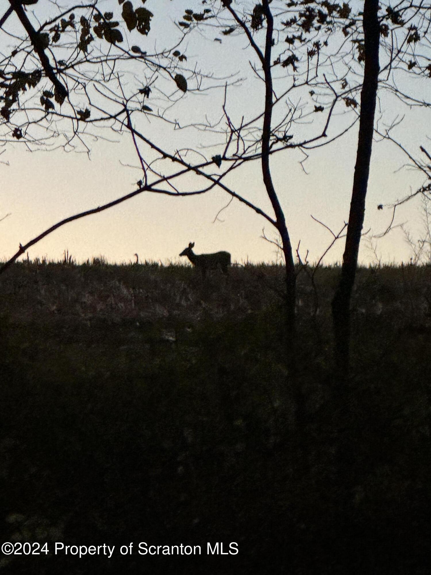 18285 Pa-92 Jackson, PA 18825 - Photo 41 of 49 a view of mountain view
