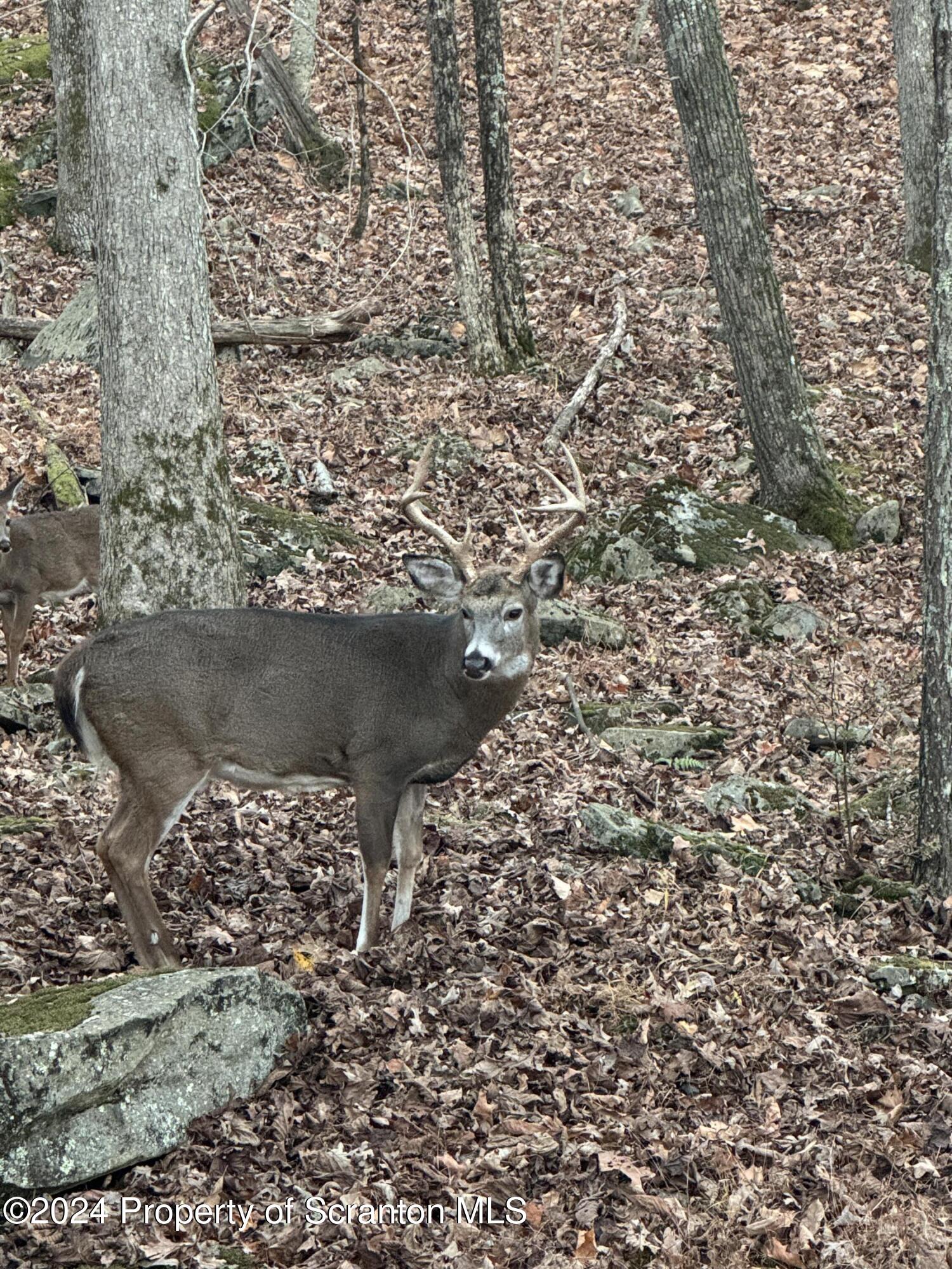 18285 Pa-92 Jackson, PA 18825 - Photo 43 of 49 3185C9AF-73D1-4A53-9908-5B45DC14D749