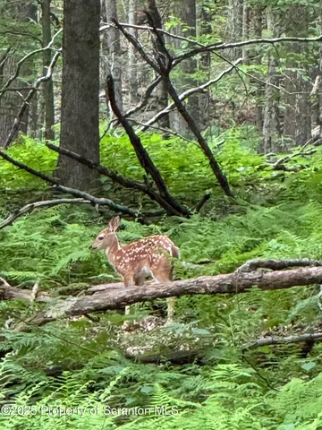 $219,900 | 18285 Pa-92, Jackson, PA 18825