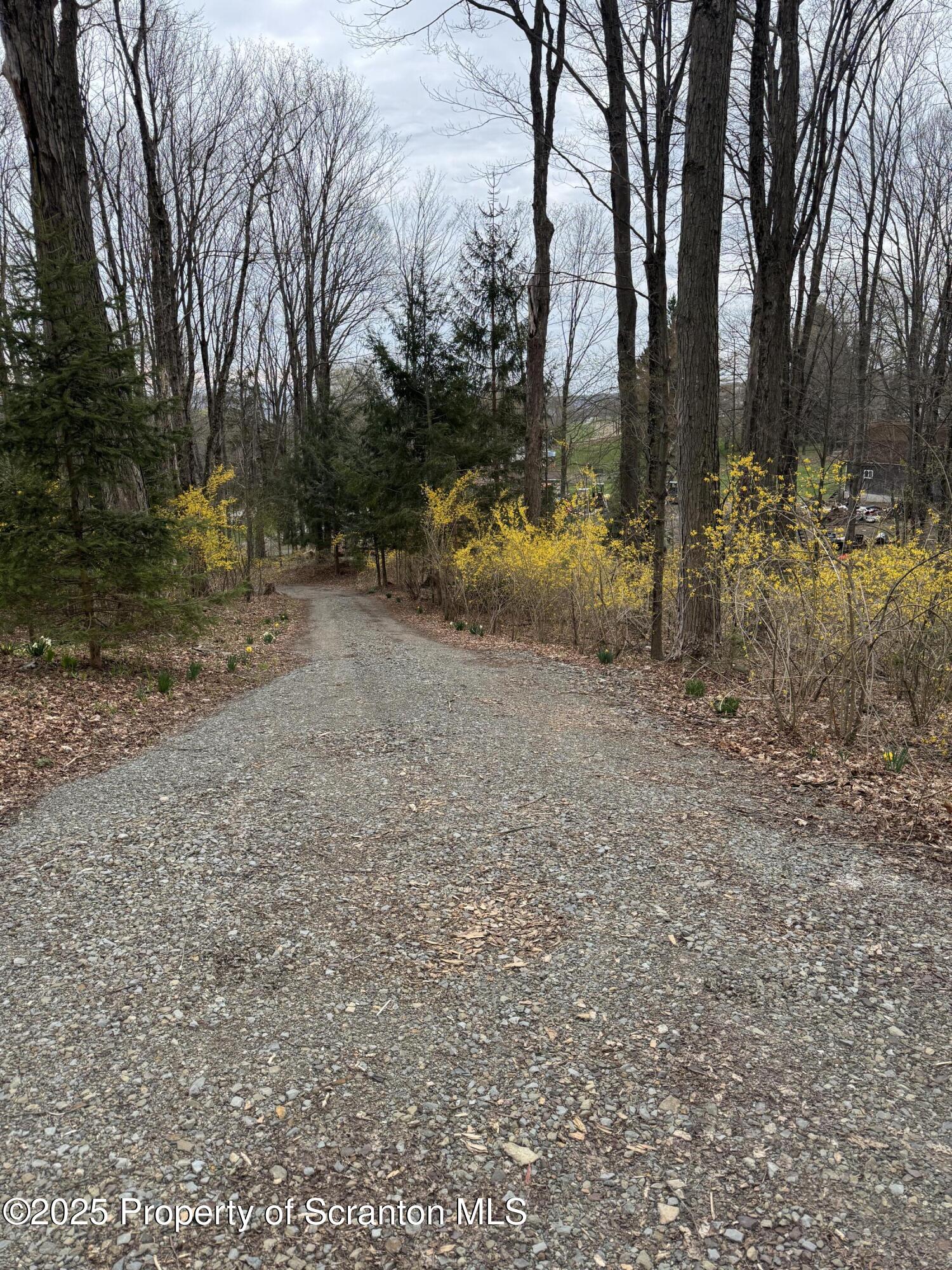 18285 Pa-92 Jackson, PA 18825 - Photo 48 of 49 a view of a yard with a tree