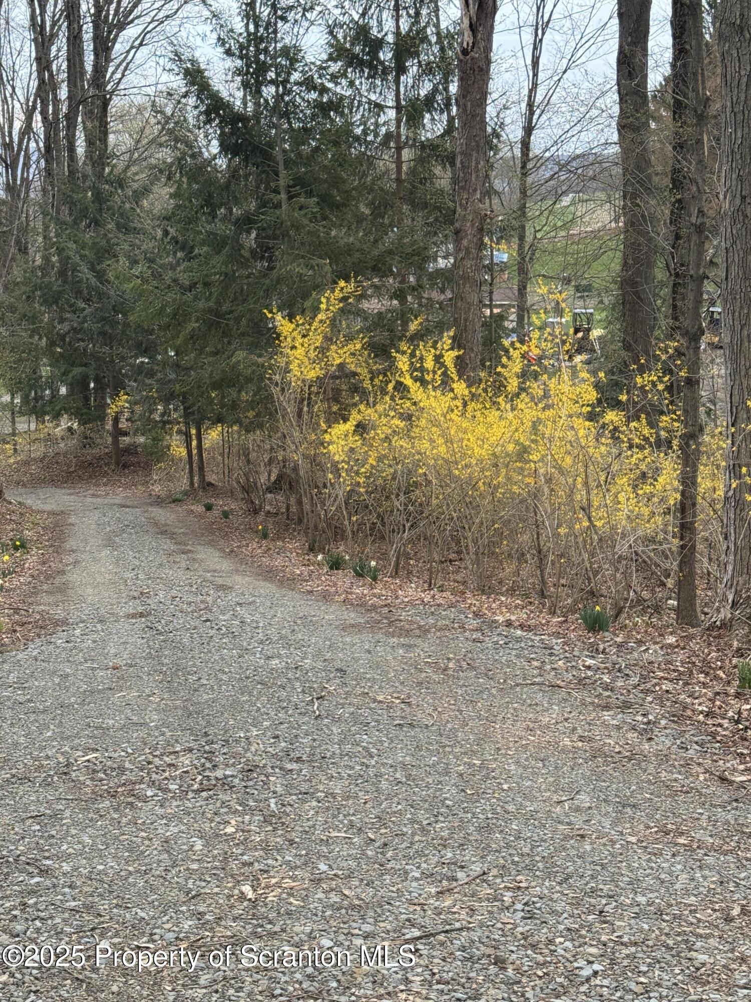 18285 Pa-92 Jackson, PA 18825 - Photo 49 of 49 a view of a yard