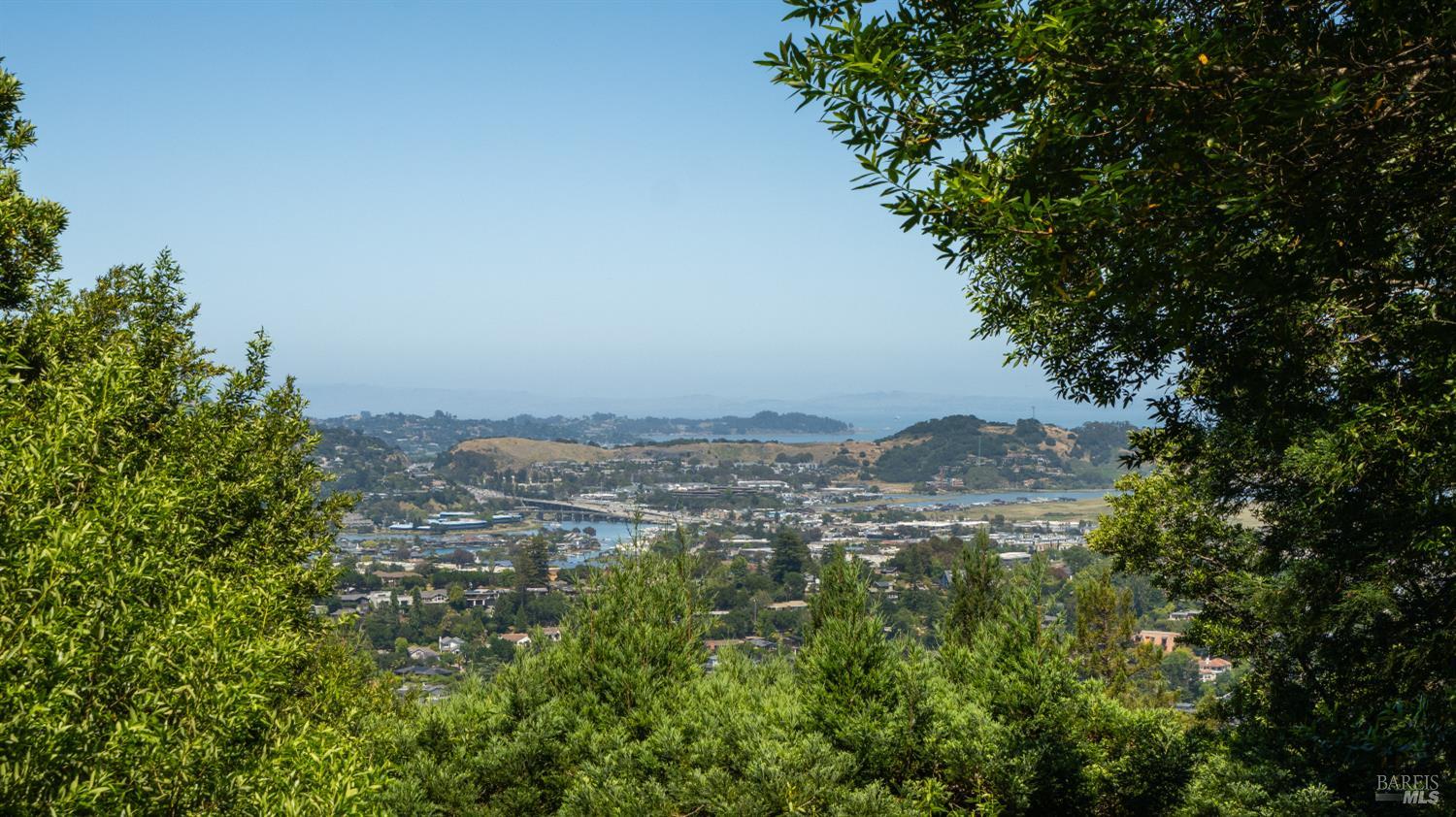 True treetop vantage point