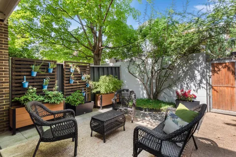 a view of a patio with couches table and chairs potted plants and large tree