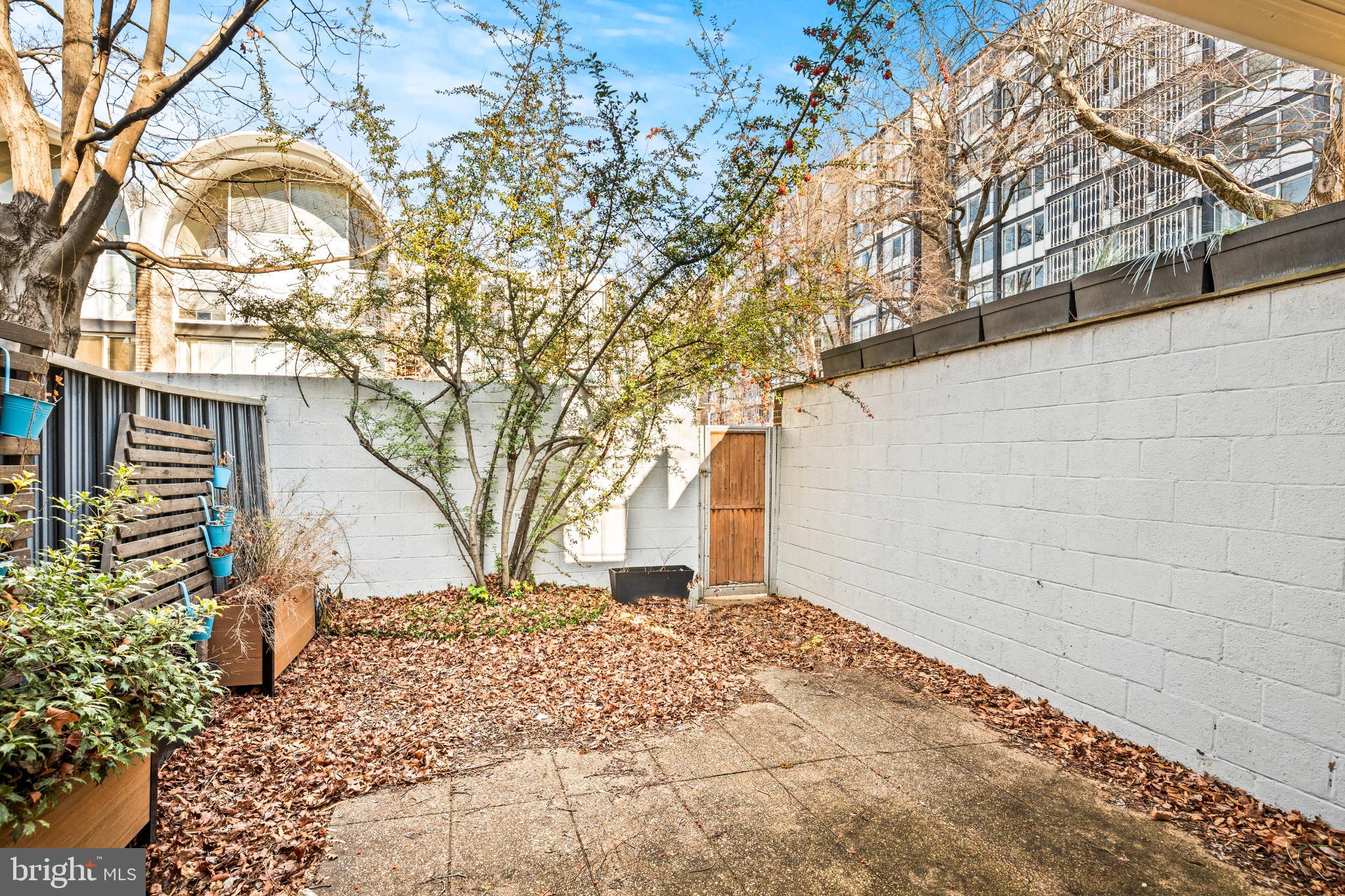345 O Street Southwest Washington, DC 20024 - Photo 37 of 50 Serene outdoor space with leafy charm.