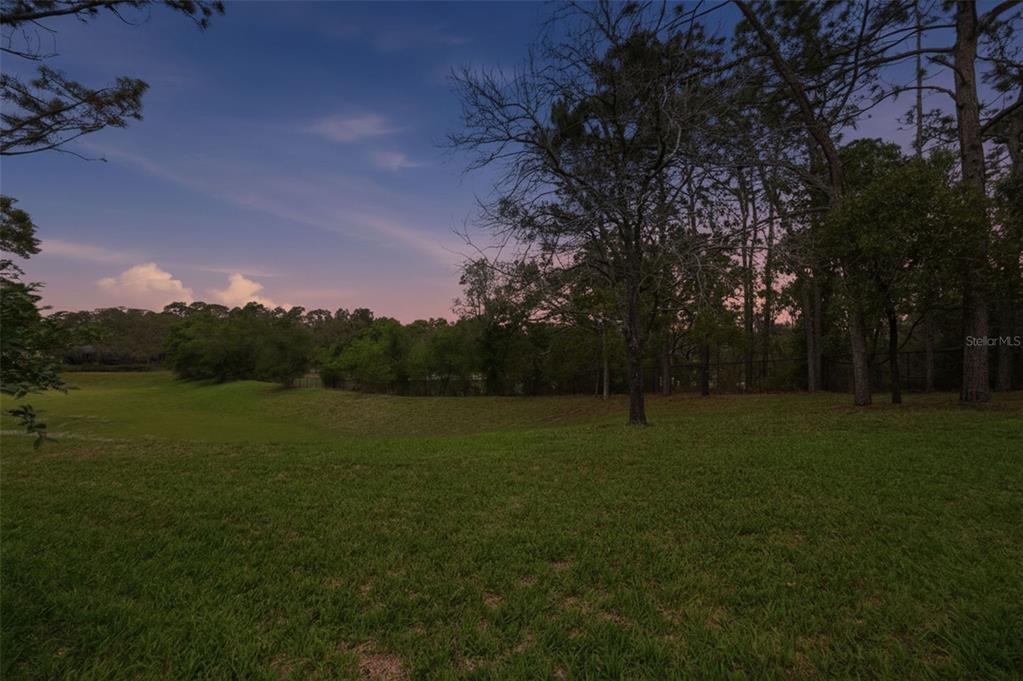 11437 Deercroft Court Spring Hill, FL 34609 - Photo 33 of 37 a view of outdoor space with green field and trees