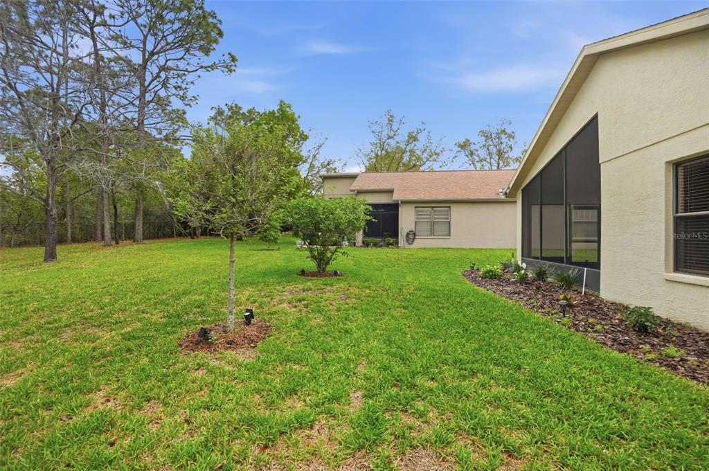 11437 Deercroft Court Spring Hill, FL 34609 - Photo 35 of 37 a view of a house with backyard and a tree