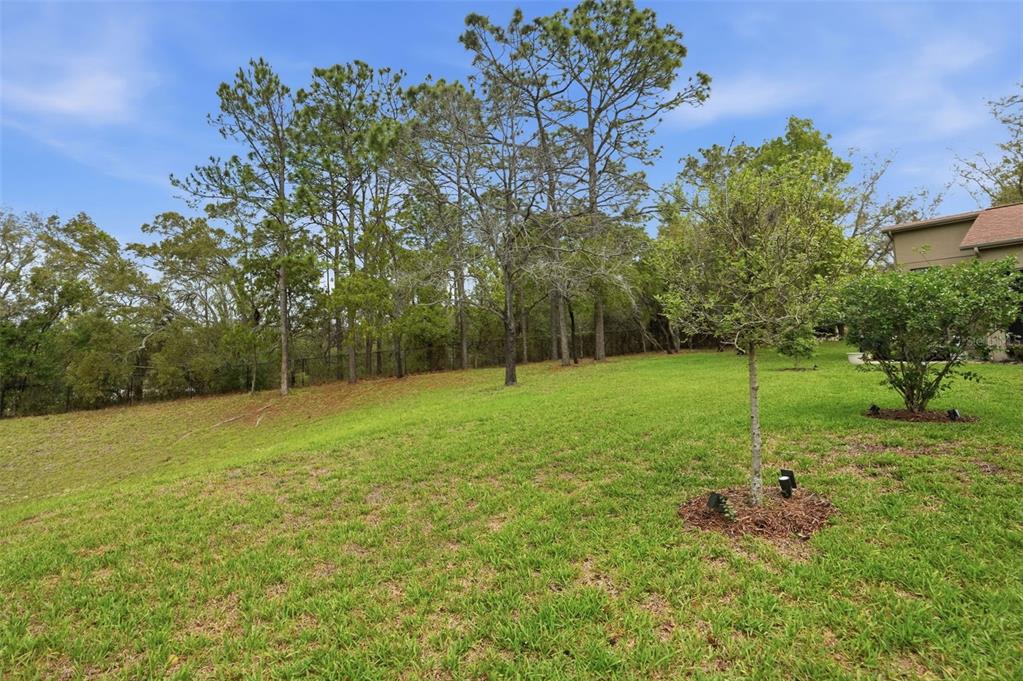 11437 Deercroft Court Spring Hill, FL 34609 - Photo 36 of 37 a backyard of a house with lots of green space