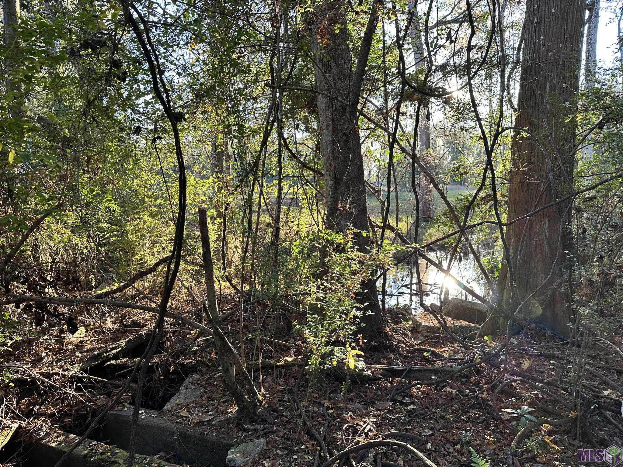 0 Simpson Place Hammond, LA 70403 - Photo 2 of 4