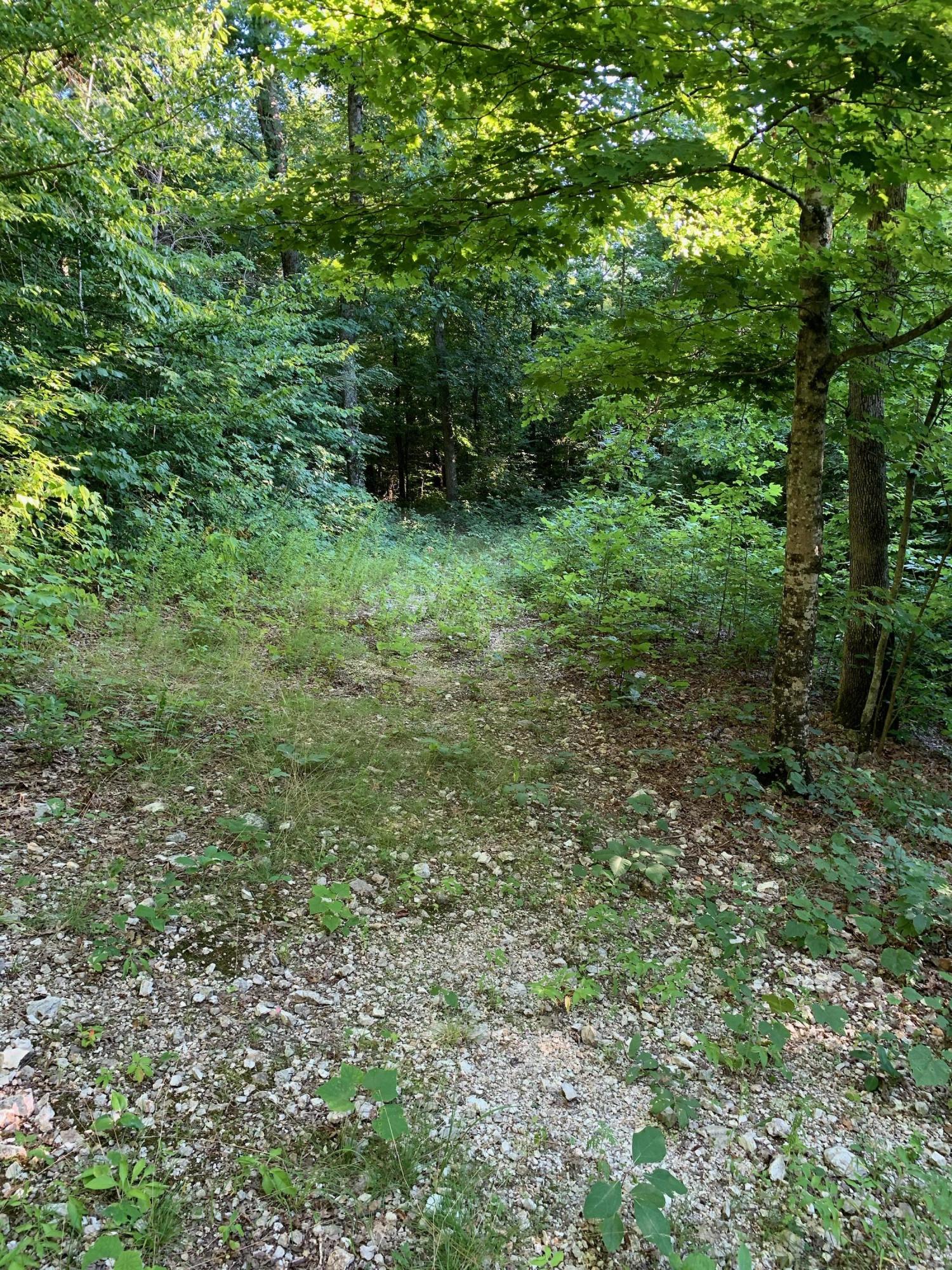 Heiskell Road Maynardville, TN 37807 - Photo 8 of 10 54C7BDC3-0139-4181-95F5-16E4C770598A