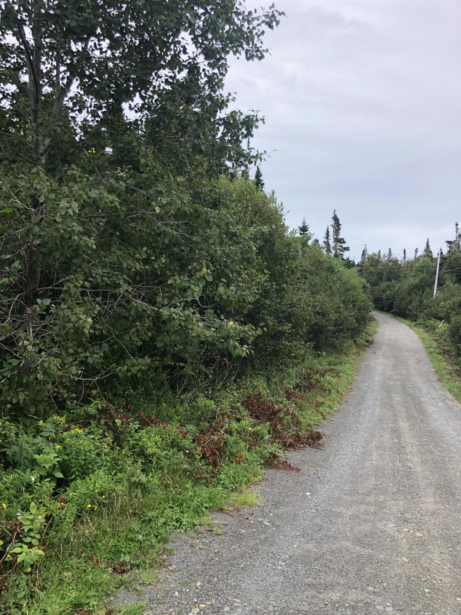 Lot25-a-1 Boot Cove Road Lubec, ME 04652 - Photo 34 of 34 DA1871C2-2785-4F39-B696-1C7E57BA02DF