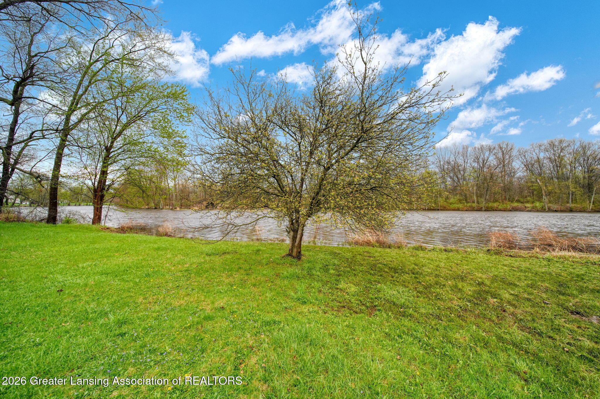 8379 Hall Road Bellevue, MI 49021 - Photo 44 of 68 44-web-or-mls-DSC08847_HDR 2