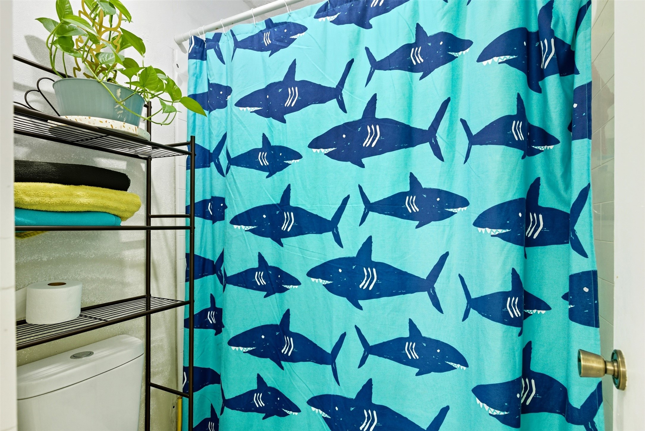 23907 Conefall Court Spring, TX 77373 - Photo 14 of 24