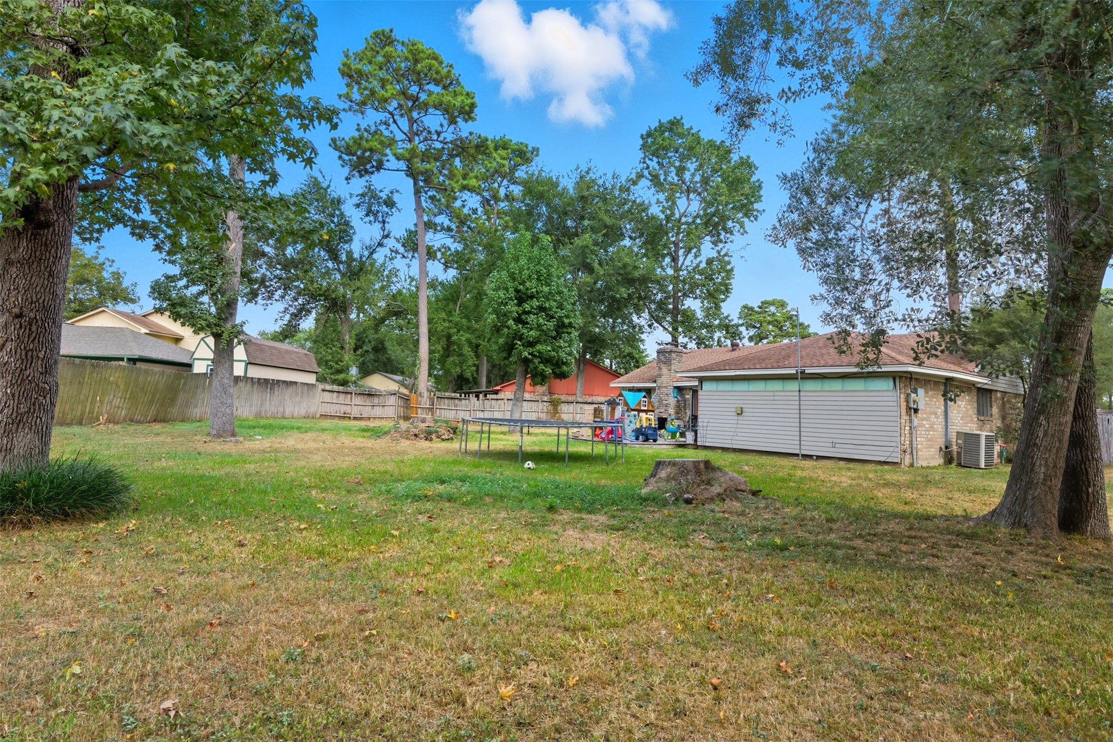 23907 Conefall Court Spring, TX 77373 - Photo 24 of 24