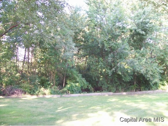 2797 Carriage Lane Springfield, IL 62707 - Photo 7 of 7 Gallery Image 7