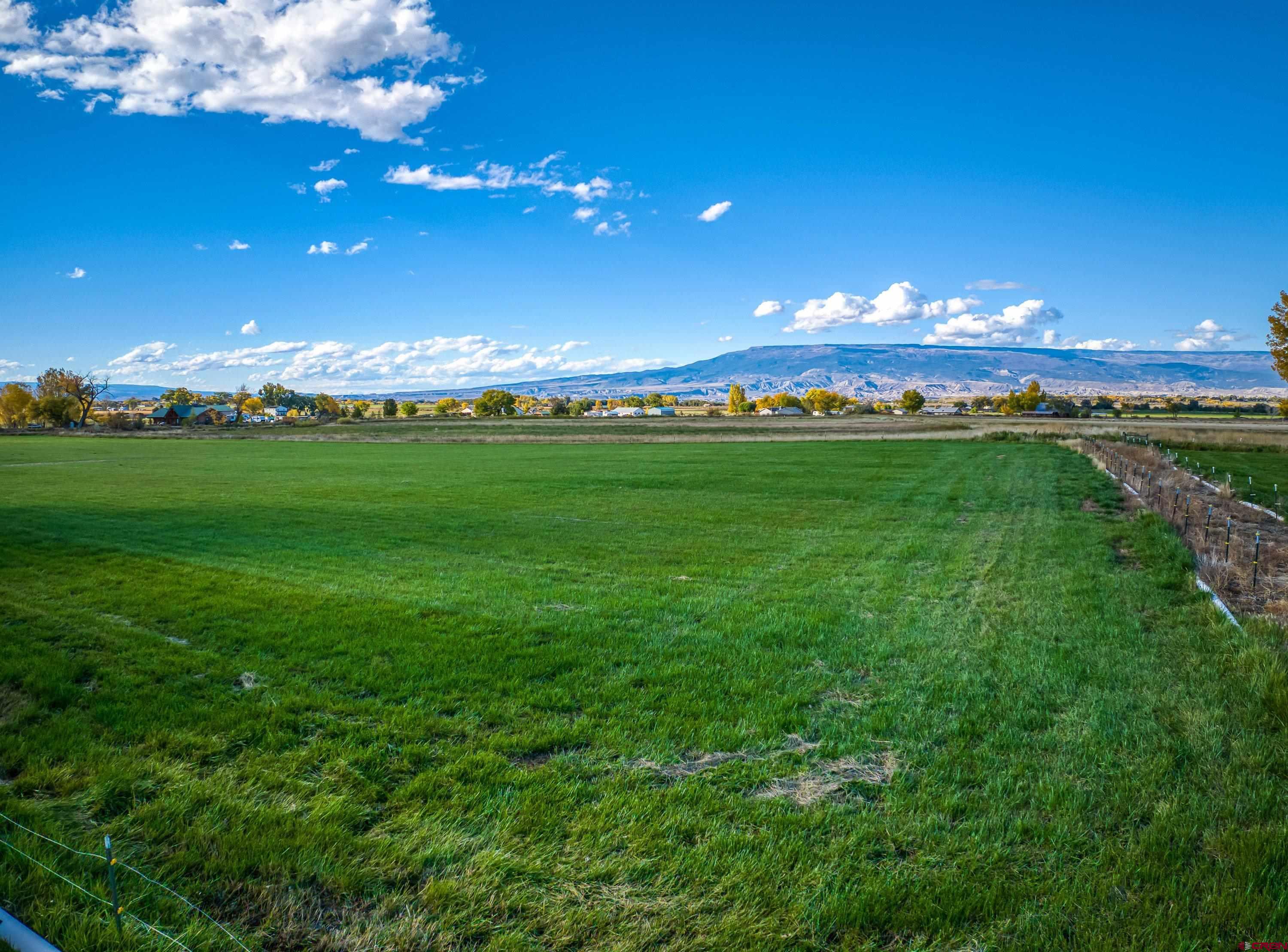 17938 B Road Delta, CO 81416 - Photo 25 of 41 a view of a big yard with lots of green space and mountain view
