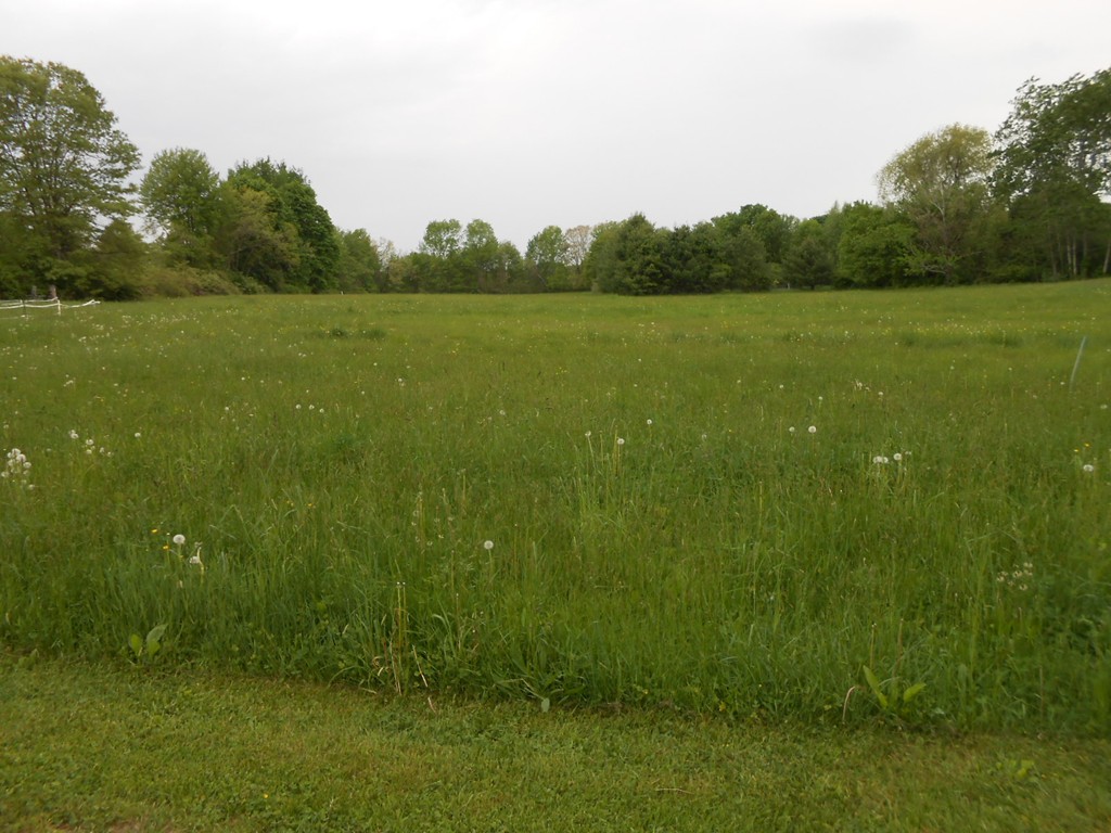 41 Corbin Road Dudley, MA 01571 - Photo 4 of 29 a view of a lush green space