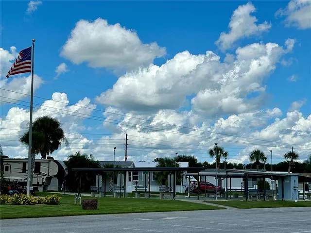 a view of a big yard and a large tree