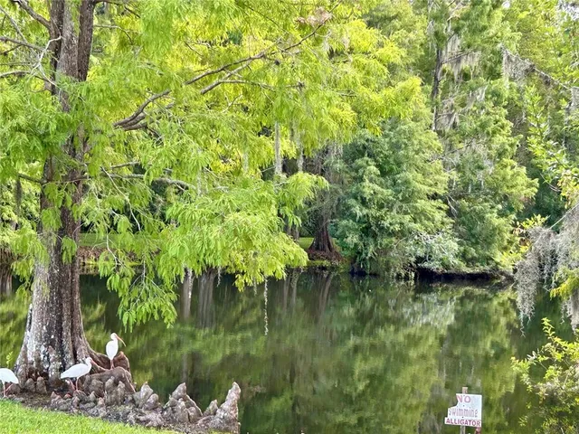 a view of a lake view
