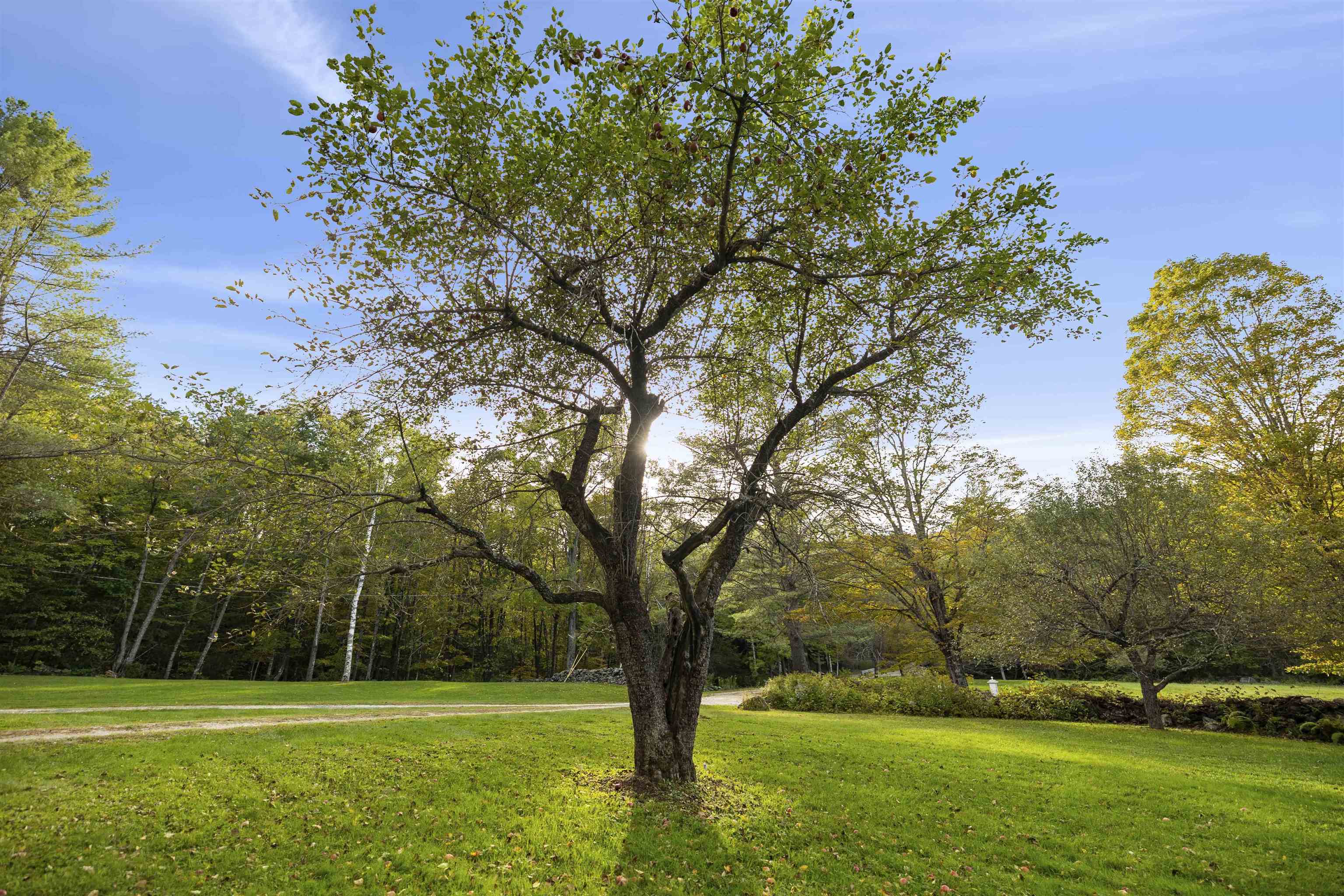 66 Hollow Road Woodstock, VT 05091 - Photo 32 of 40