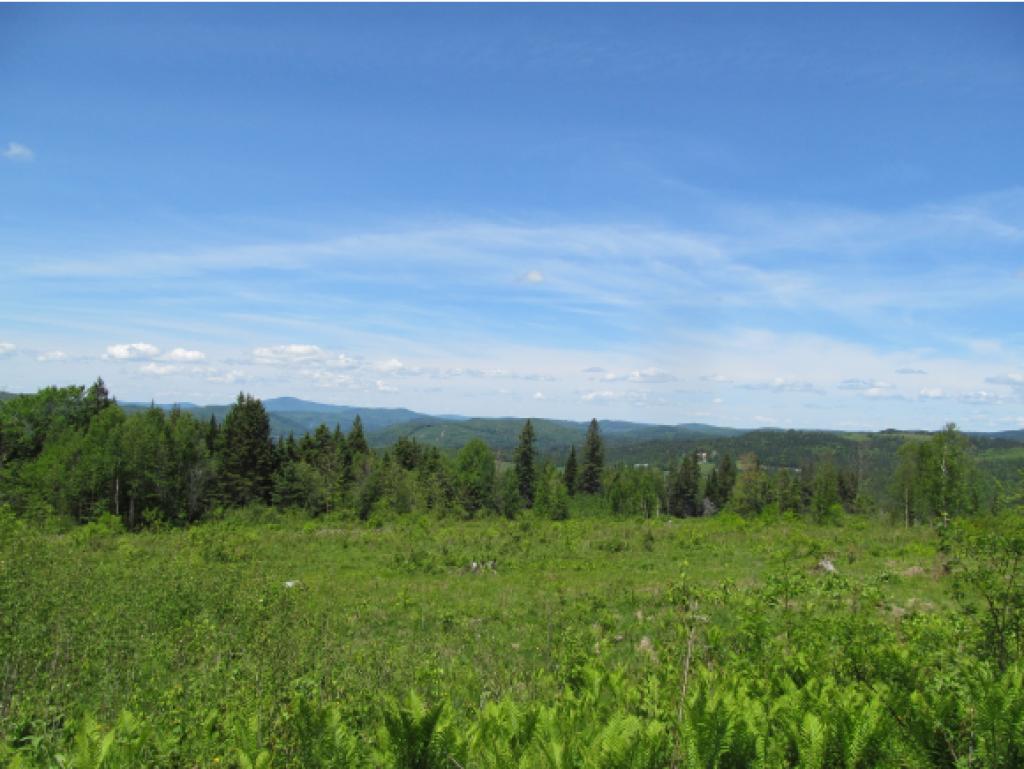 - Noyes Road Stewartstown, NH 03576 - Photo 1 of 13