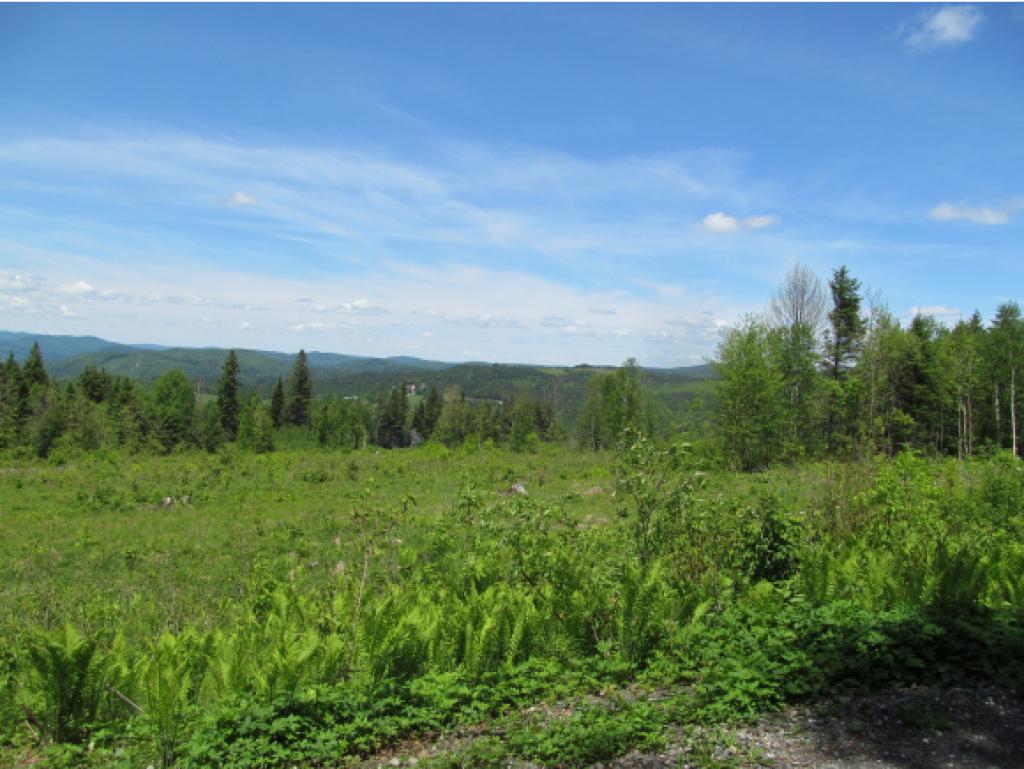 - Noyes Road Stewartstown, NH 03576 - Photo 2 of 13