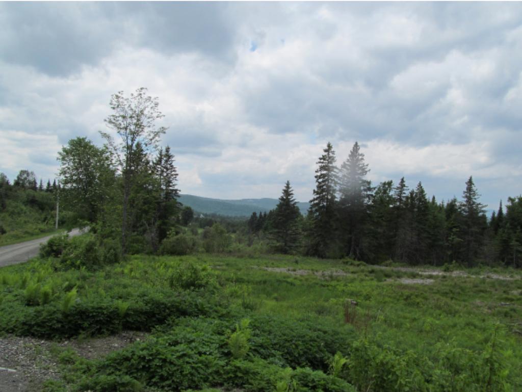 - Noyes Road Stewartstown, NH 03576 - Photo 11 of 13