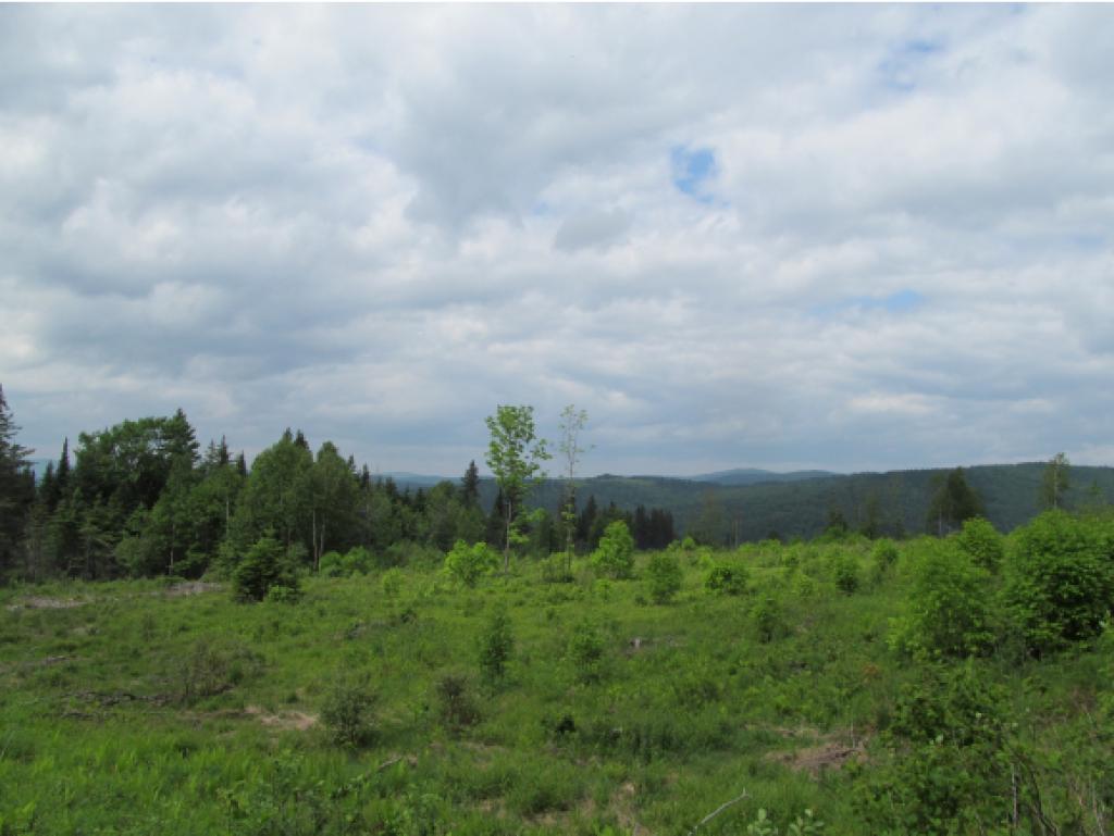 - Noyes Road Stewartstown, NH 03576 - Photo 12 of 13
