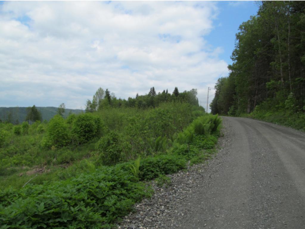 - Noyes Road Stewartstown, NH 03576 - Photo 13 of 13