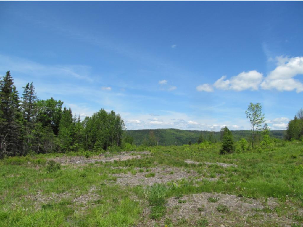 - Noyes Road Stewartstown, NH 03576 - Photo 3 of 13