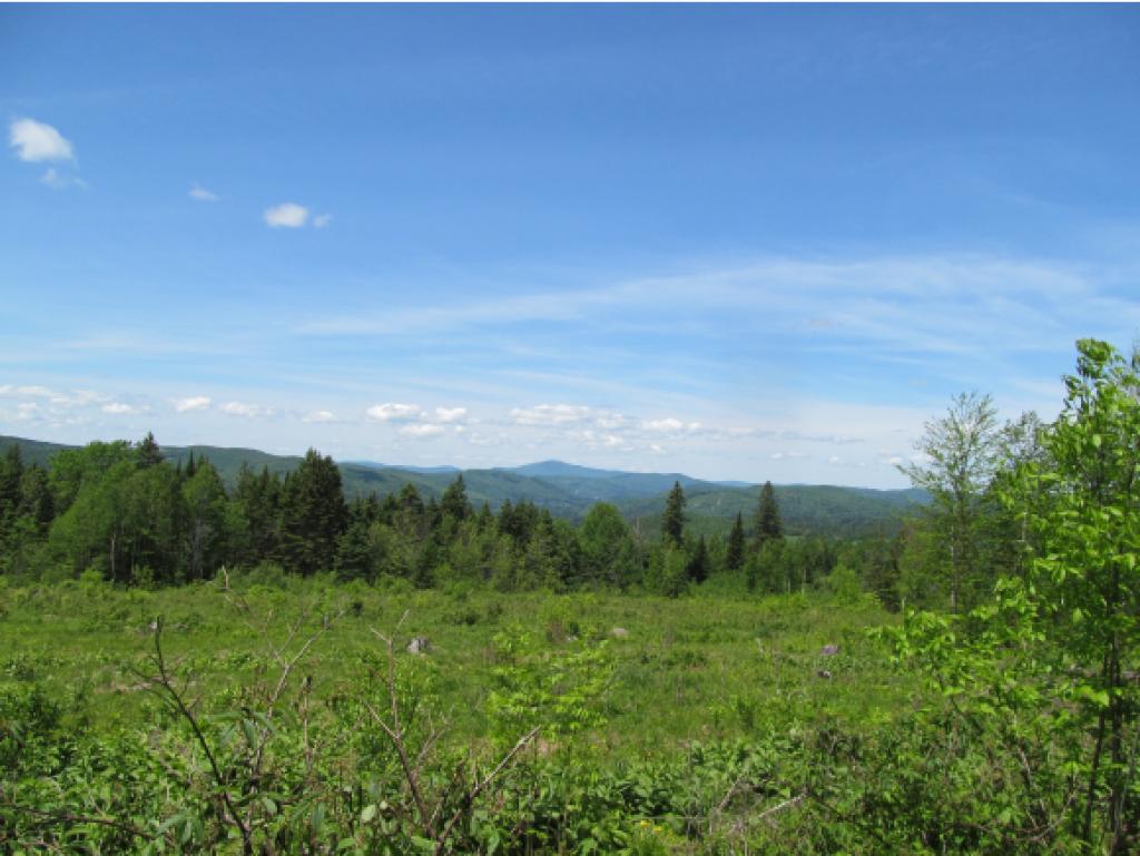 - Noyes Road Stewartstown, NH 03576 - Photo 4 of 13