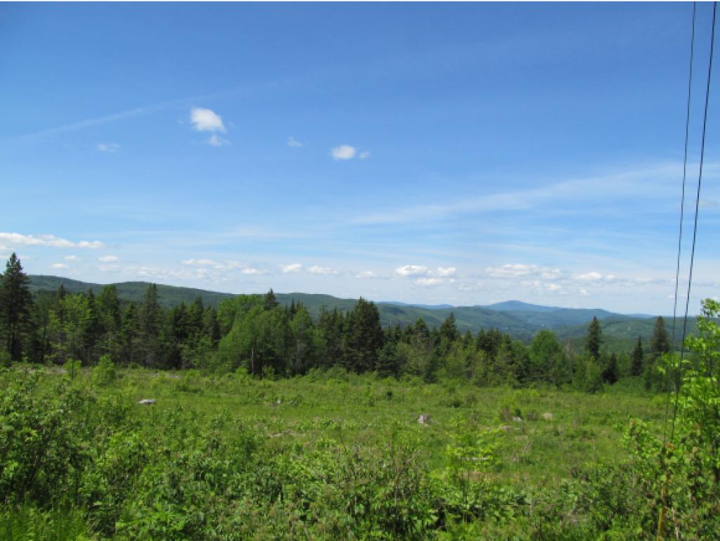 - Noyes Road Stewartstown, NH 03576 - Photo 5 of 13