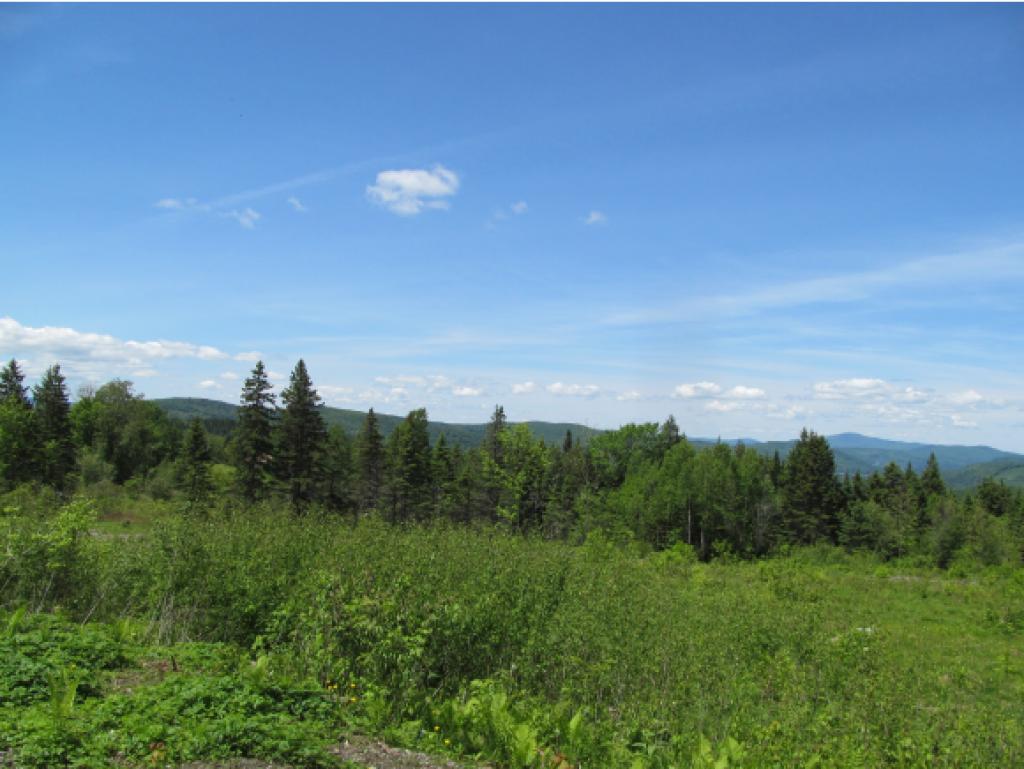 - Noyes Road Stewartstown, NH 03576 - Photo 6 of 13